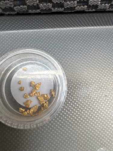 Customer photo review of Gold Monster 2000