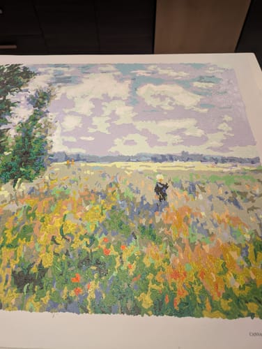 Customer's completed Poppy fields near Argenteuil paint-by-numbers project, showing the detailed and colorful landscape.