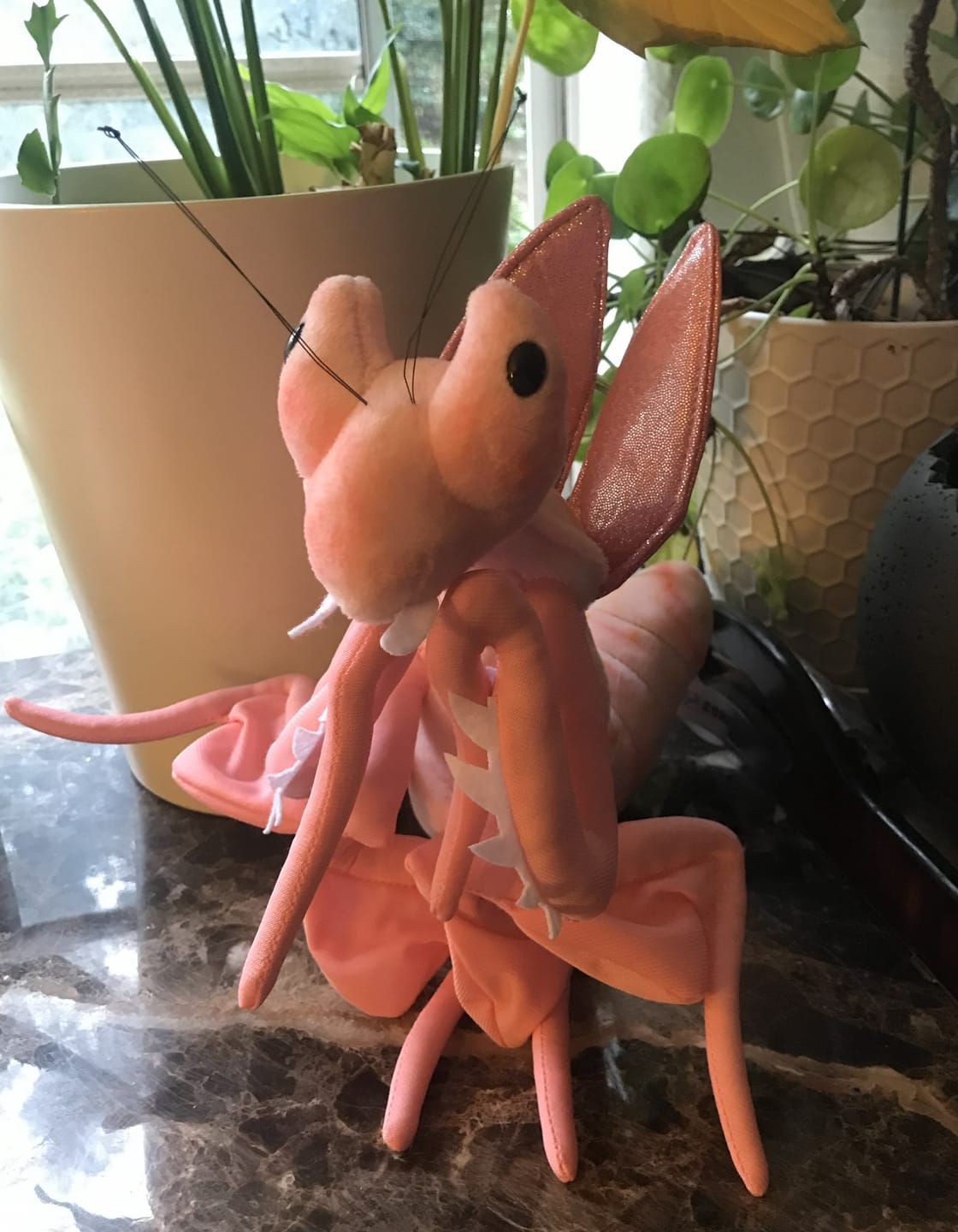 Customer photo review of Pink Orchid Mantis Soft Stuffed Plush Toy