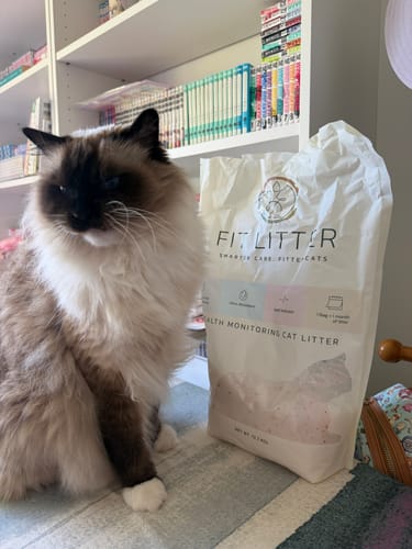 Customer photo review of Fit Litter