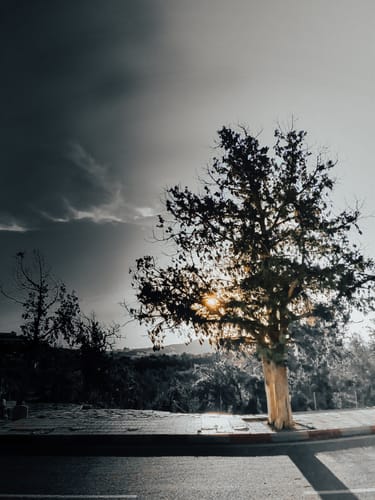 Customer photo review of TIER ONE MEMBERSHIP