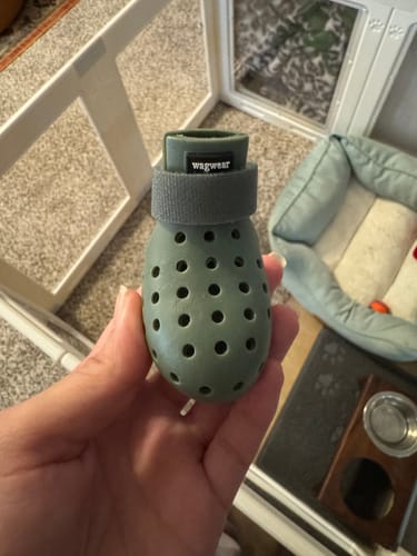 Customer photo review of WagWellies® Mojave