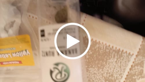 Customer video review of BANANA RUNTZ THCA FLOWER