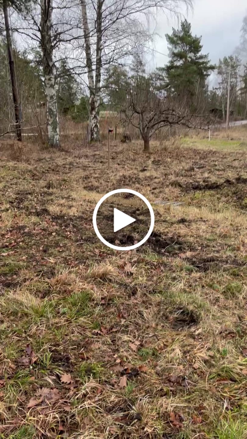 Customer video review of ViltVakten™ – Effektiv Viltskrämma som Skrämmer Bort Vildsvin, Rådjur mm