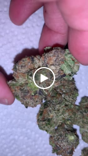Customer video review of Mimosa - Light Dep THCA (full size) (Seeded)