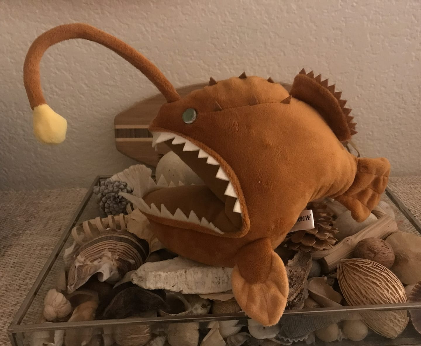 Customer photo review of Anglerfish Soft Stuffed Plush Toy