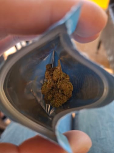 Close-up of a reviewer holding open a pouch showing a dense California Love THCA Flower bud.