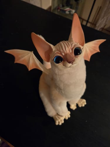Customer photo review of Big Batcat – beige