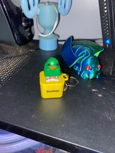 Customer photo review of Quackey - Fidget Toy that Quacks!