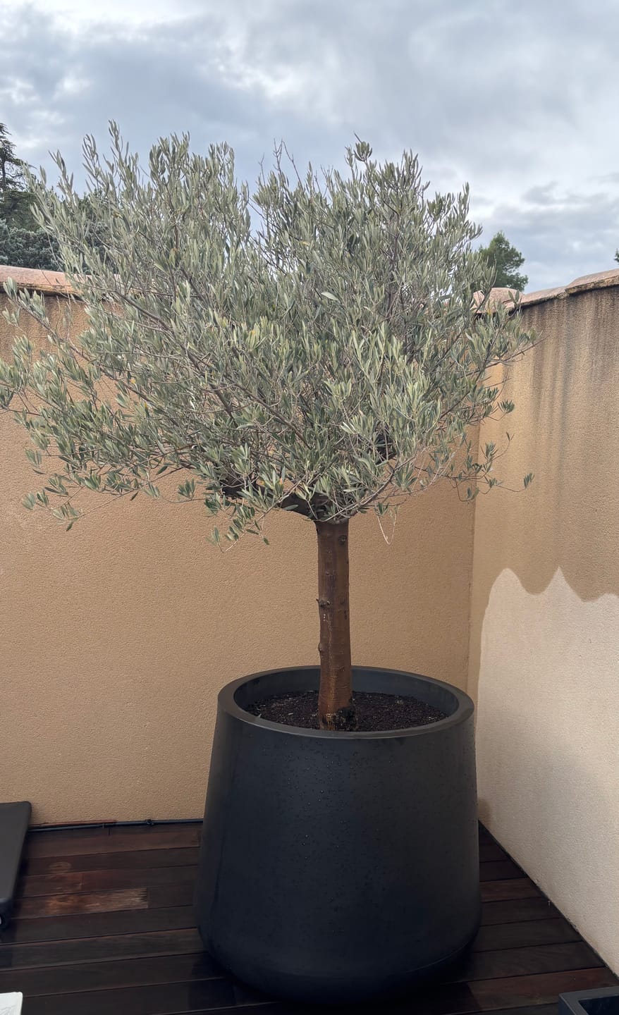 Customer photo review of Pot - ULM  Rond