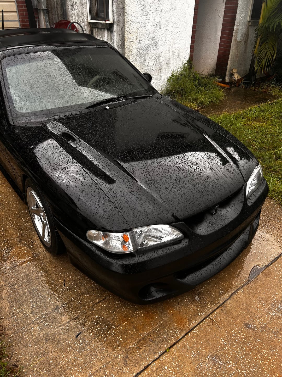 Customer photo review of Super Glossy Piano Black Vinyl Wrap