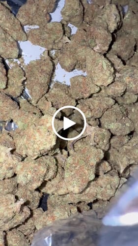 Customer video review of Butter Pina - Bulk  - Indica