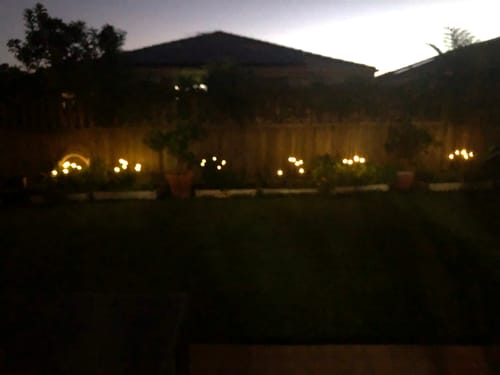 Customer photo review of GardenBrite™ Solar Firefly Lights