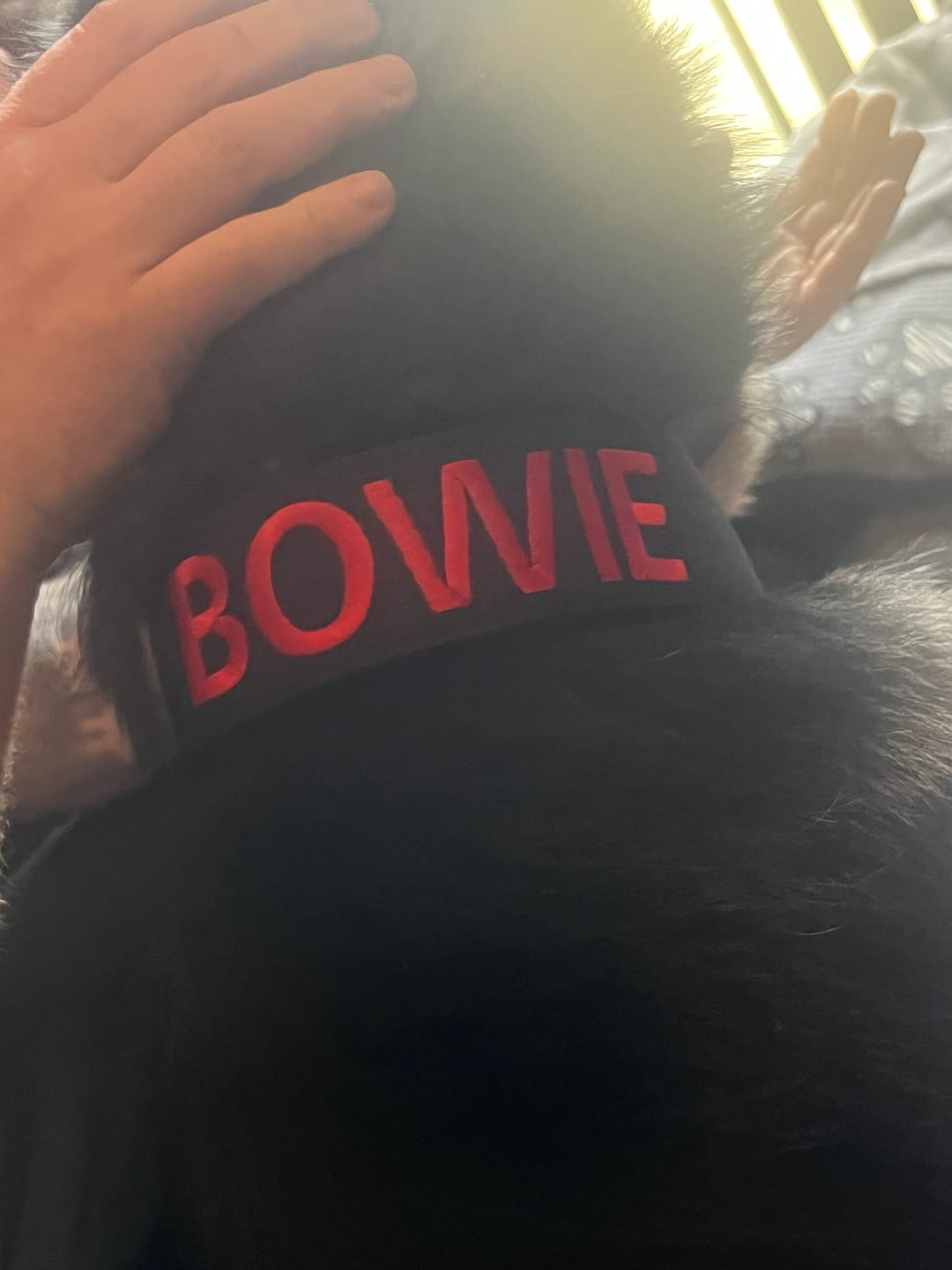 Customer photo review of Personalisation Fee £8.99