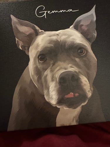 Customer photo review of Pet Art Canvas Wrap