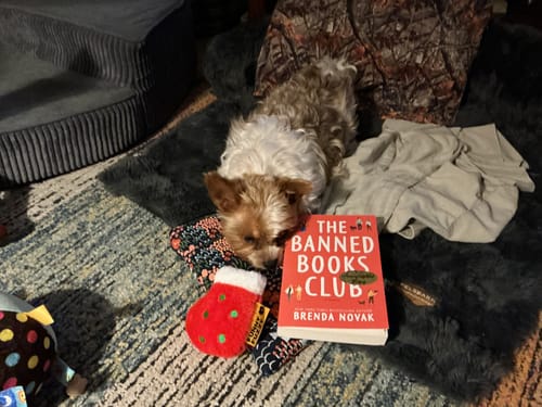 Customer photo review of Banned Books Week Specials