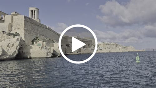 Customer video review of ELEVATESHOES SPRINT