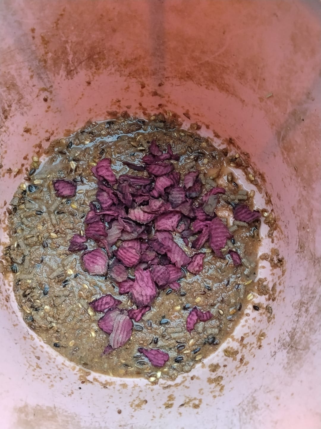 Customer photo review of Rote Beete Chips
