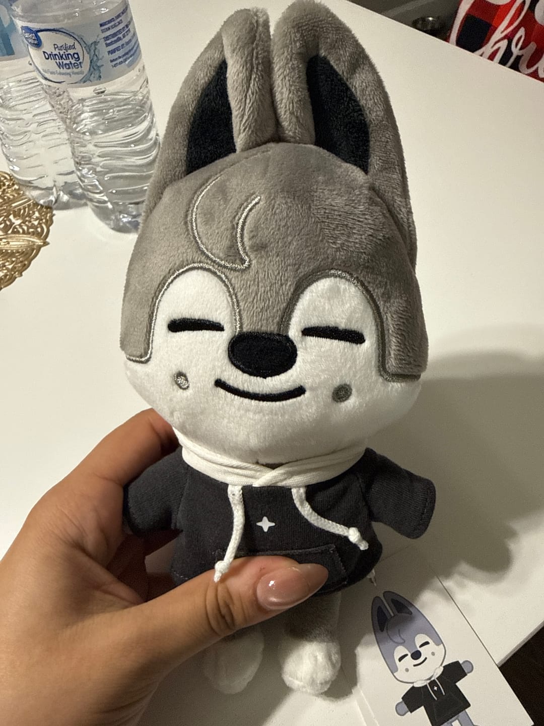 Customer photo review of STRAY KIDS - SKZ'S MAGIC SCHOOL OFFICIAL MD SKZOO PLUSH ORIGINAL VER.