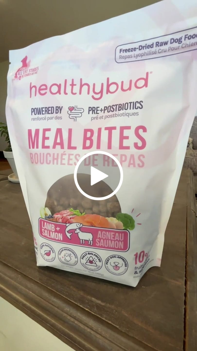 Customer video review of Lamb + Salmon Meal Bites