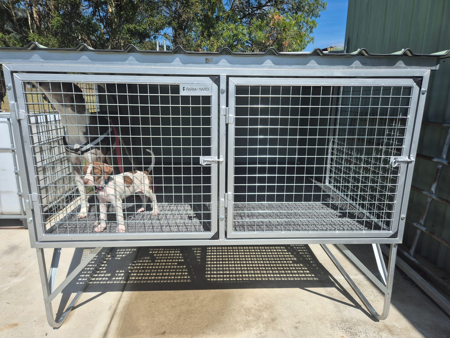 Customer photo review of Raised Safety Kennel