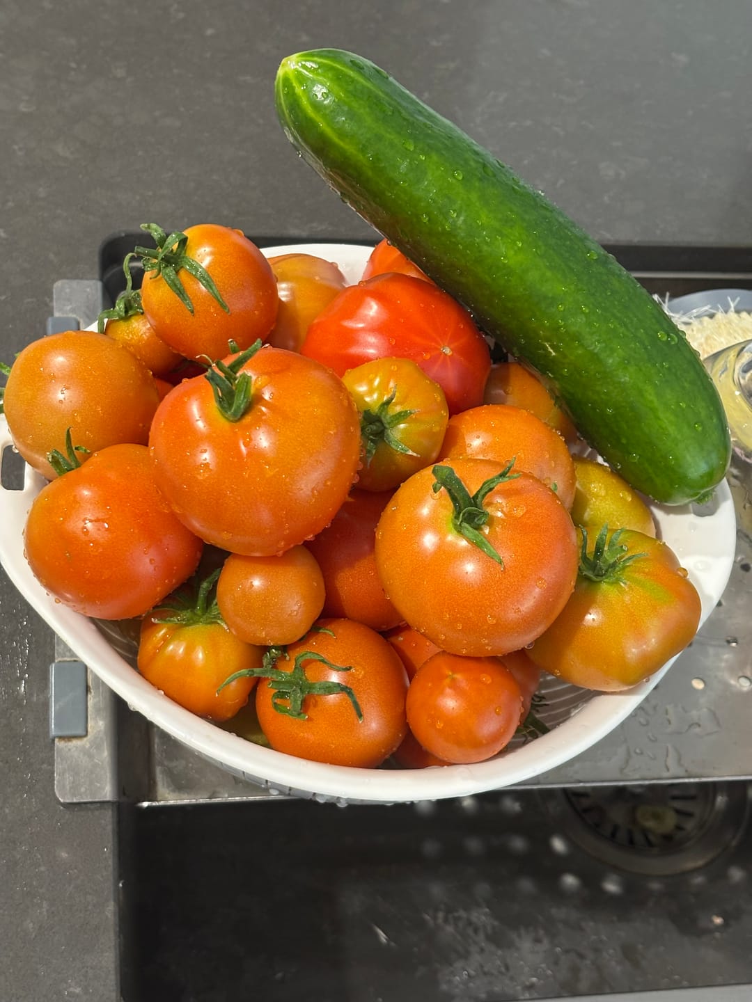 Customer photo review of The Salad Table Nutrient 10L Complete Kit