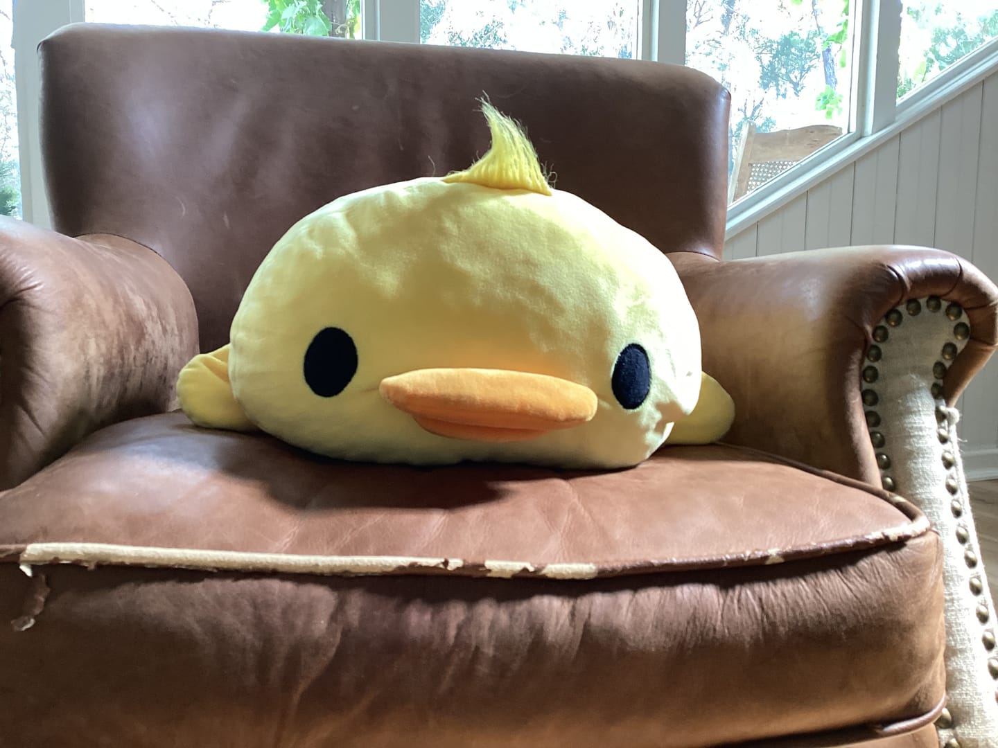 Customer photo review of Giant Duck Pillow