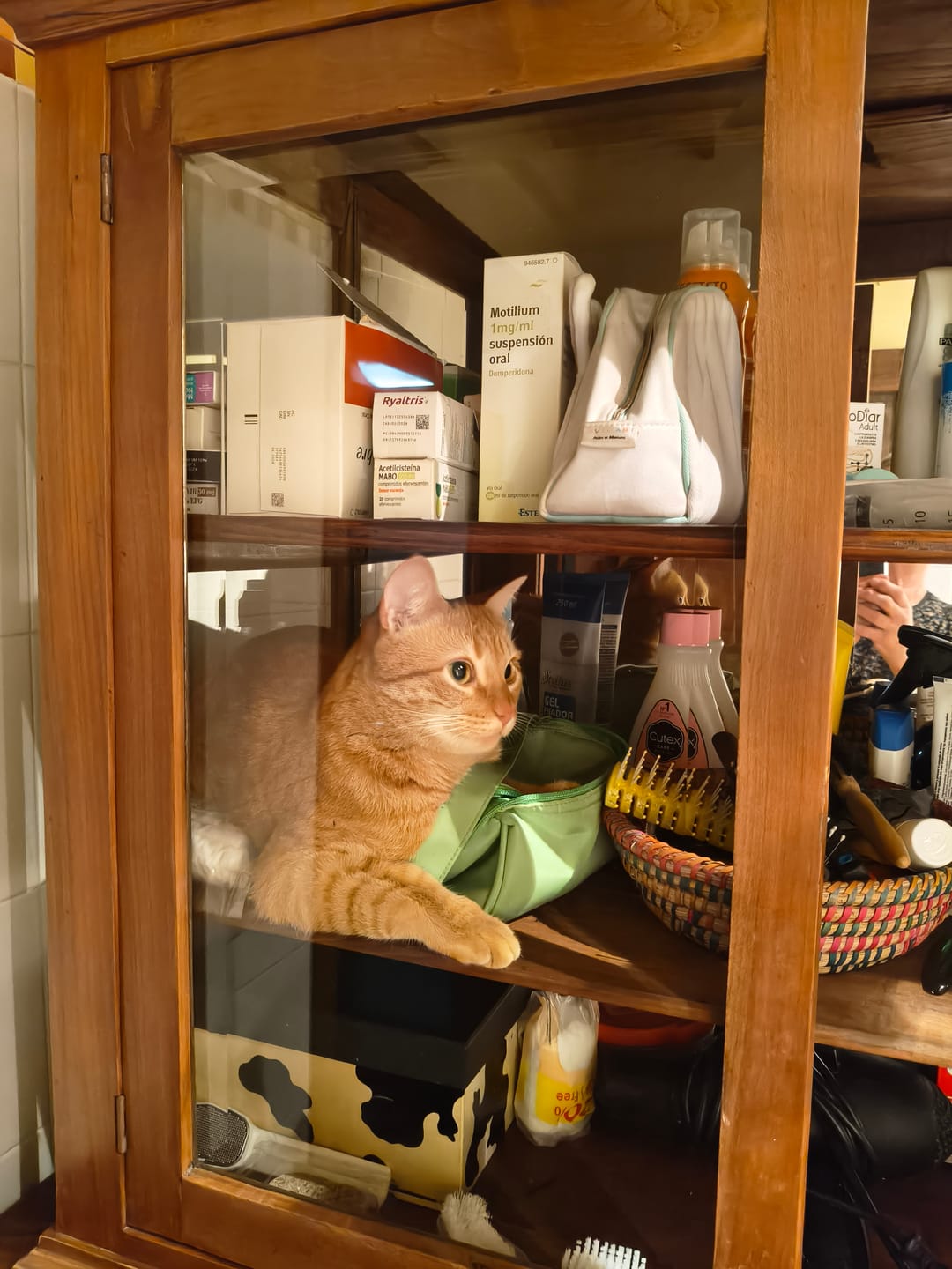 Customer photo review of Grain Free Cat Adult