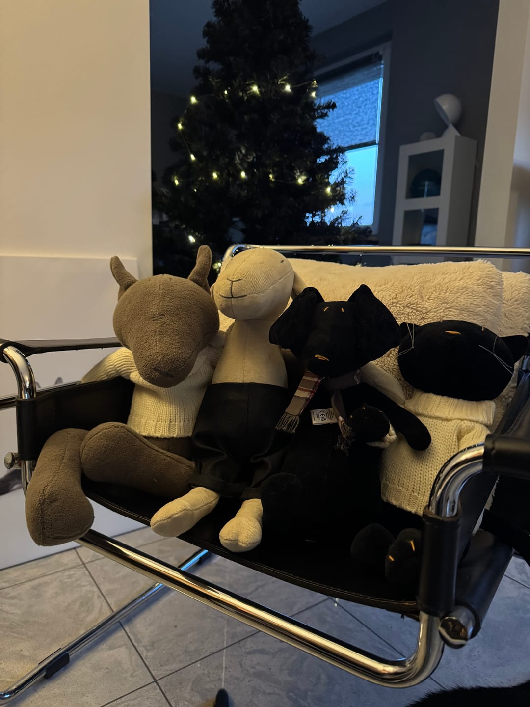 Customer photo review of MAIA LA BREBIS - L