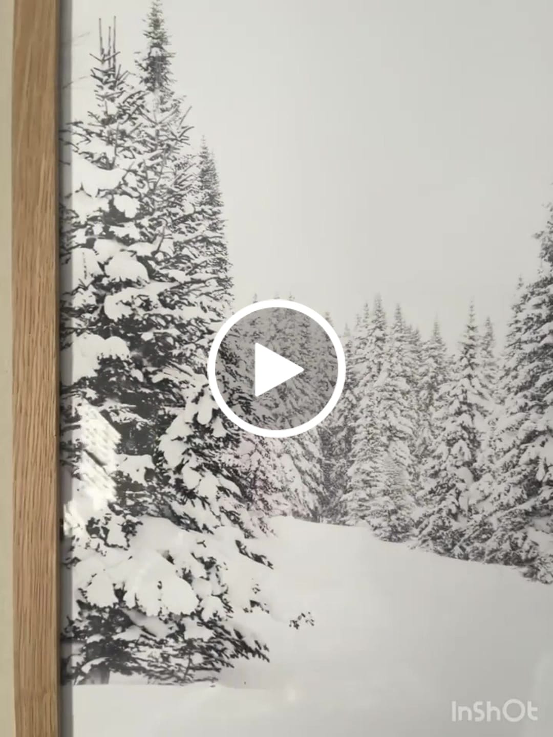 Customer video review of Winter Skiing Black White Wall Art. Ski Lift, Snowy Forest
