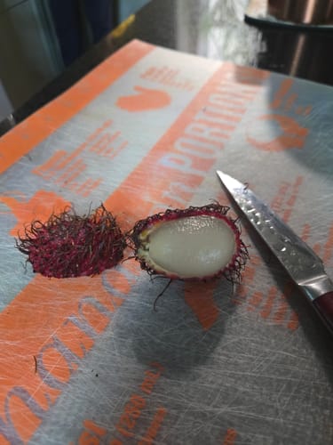 Customer photo review of Tropical Variety Box