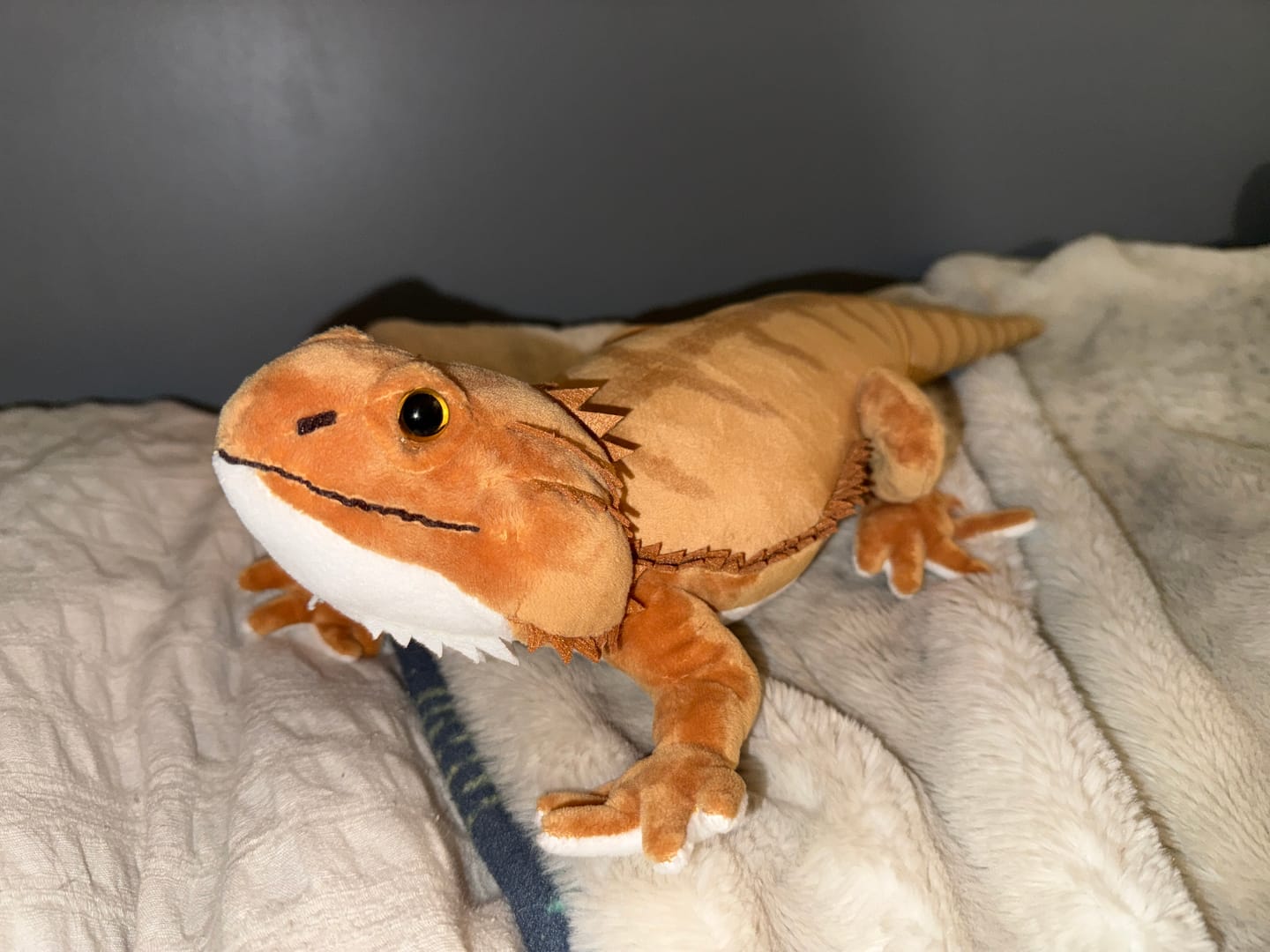 Customer photo review of Lifelike Central Bearded Dragon Lizard Plush Toy – Soft and Adorable