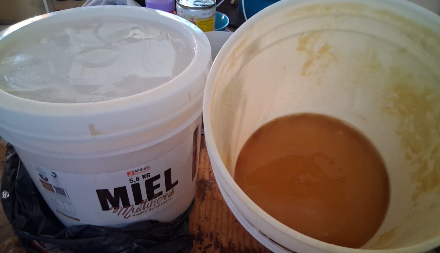 Customer photo review of Balde Miel Multiflora de La Región de Los Lagos 5,6 kilos