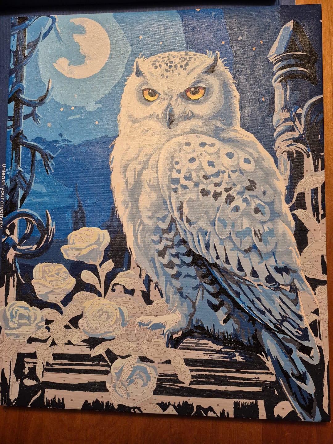 Customer photo review of Snowy Owl