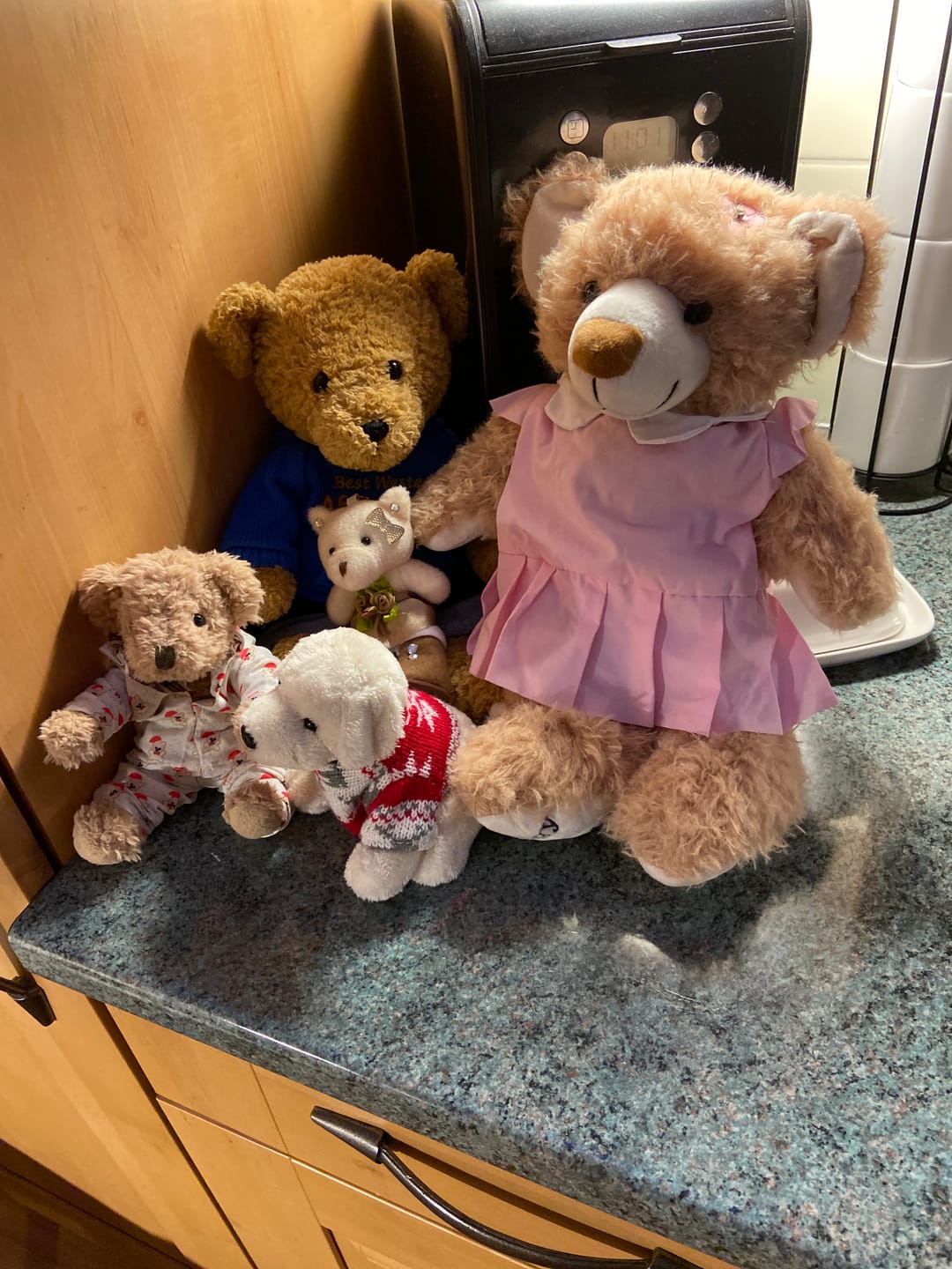 Customer photo review of Peggy The Teddy Bear