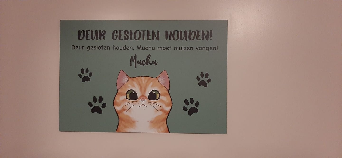 Customer photo review of Nieuwsgierige katten - Gepersonaliseerde deurbord