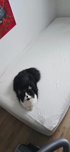 Customer photo review of Erdungs-Spannbettlaken | Standard