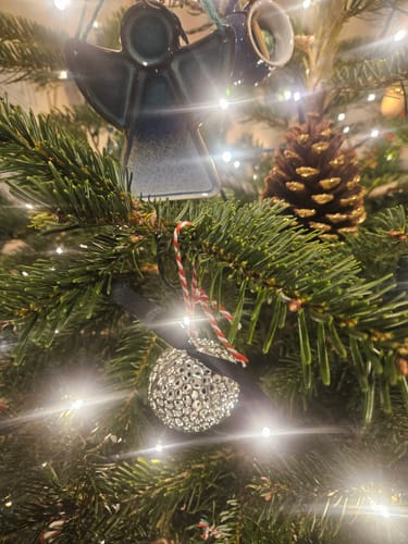 Customer photo review of Allegro Globe Bauble