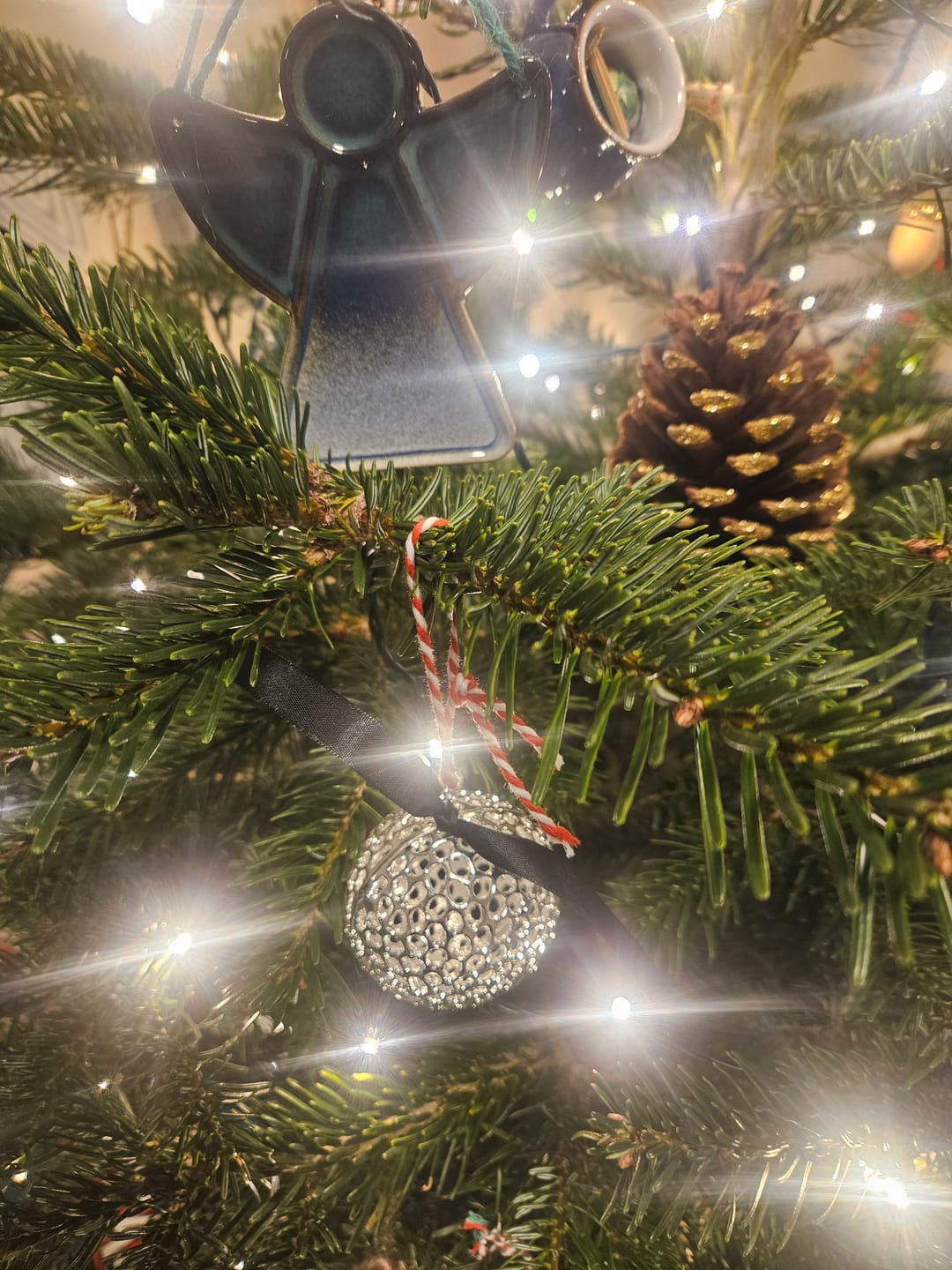 Customer photo review of Allegro Globe Bauble