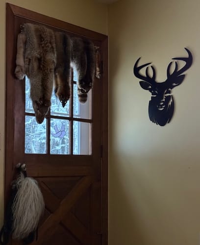 Customer photo review of Bold Buck Wall Art
