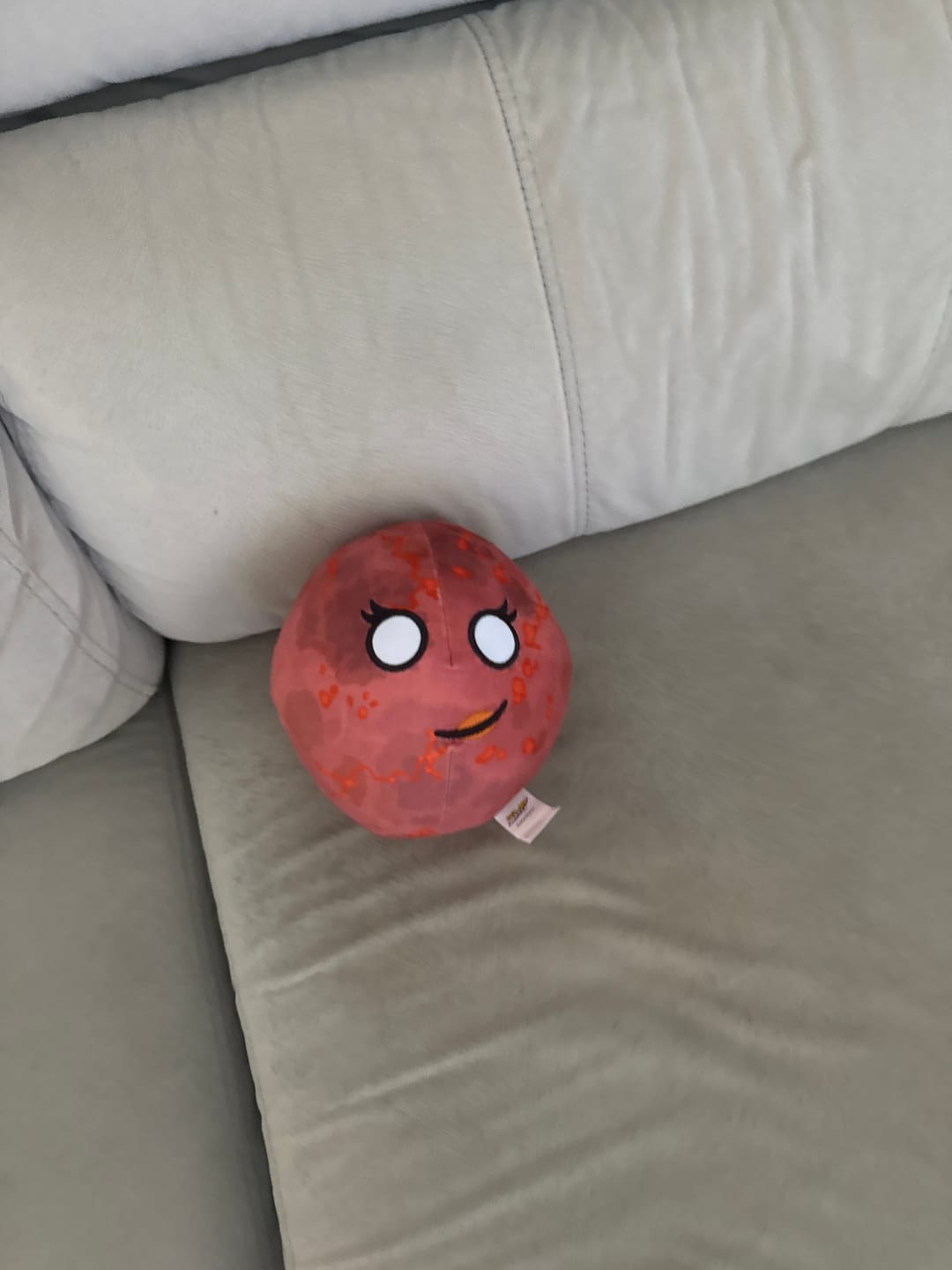Customer photo review of The SolarBalls Theia Plush
