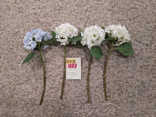 Customer photo review of Bulk 18" Hydrangea Flowers Bouquets Silk Hydrangea Flowers Wholesale