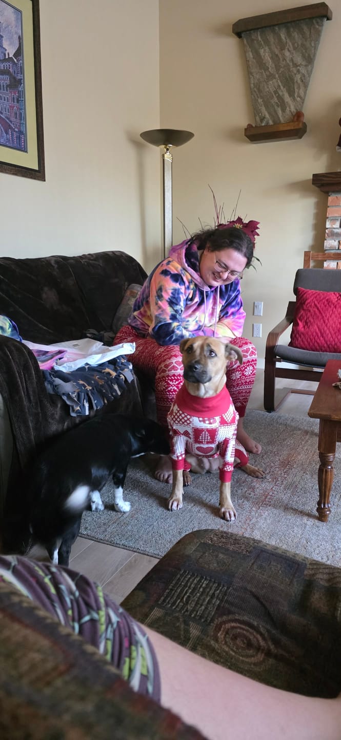 Customer photo review of Dog Christmas Pajama - Festive Patchwork