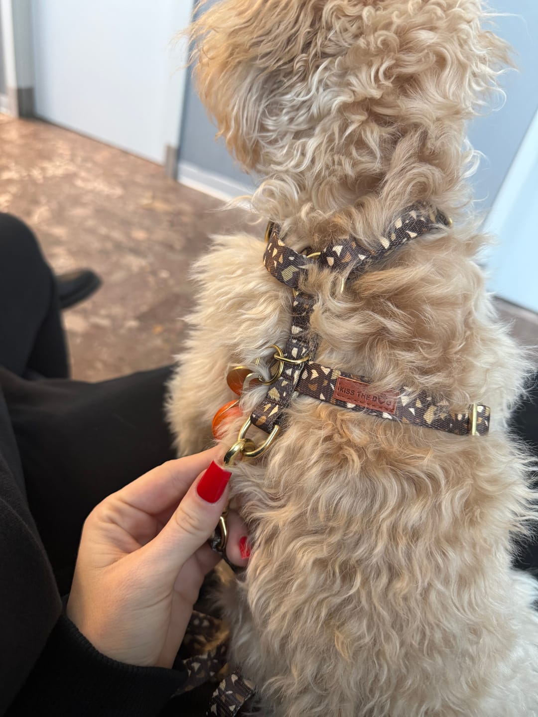 Customer photo review of Smycz miejska "Brownie Terrazzo" - złote okucia