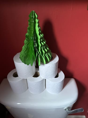 Customer photo review of UK-Made Recycled Toilet Paper – Seriously Sustainable & Plastic-Free