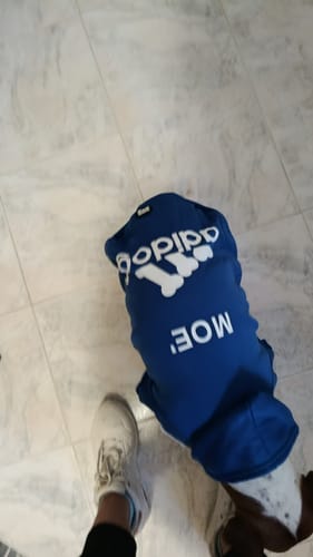 Customer photo review of Felpa "Adidog" Blu Personalizzabile con nome