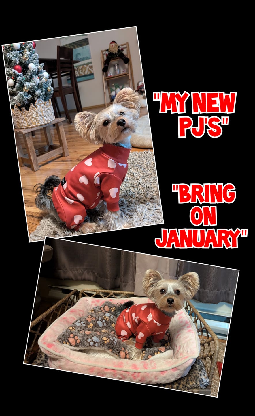 Customer photo review of Dog Pajama - Red Hearts