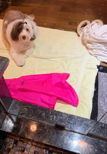 Customer photo review of Nylon Rainbreaker