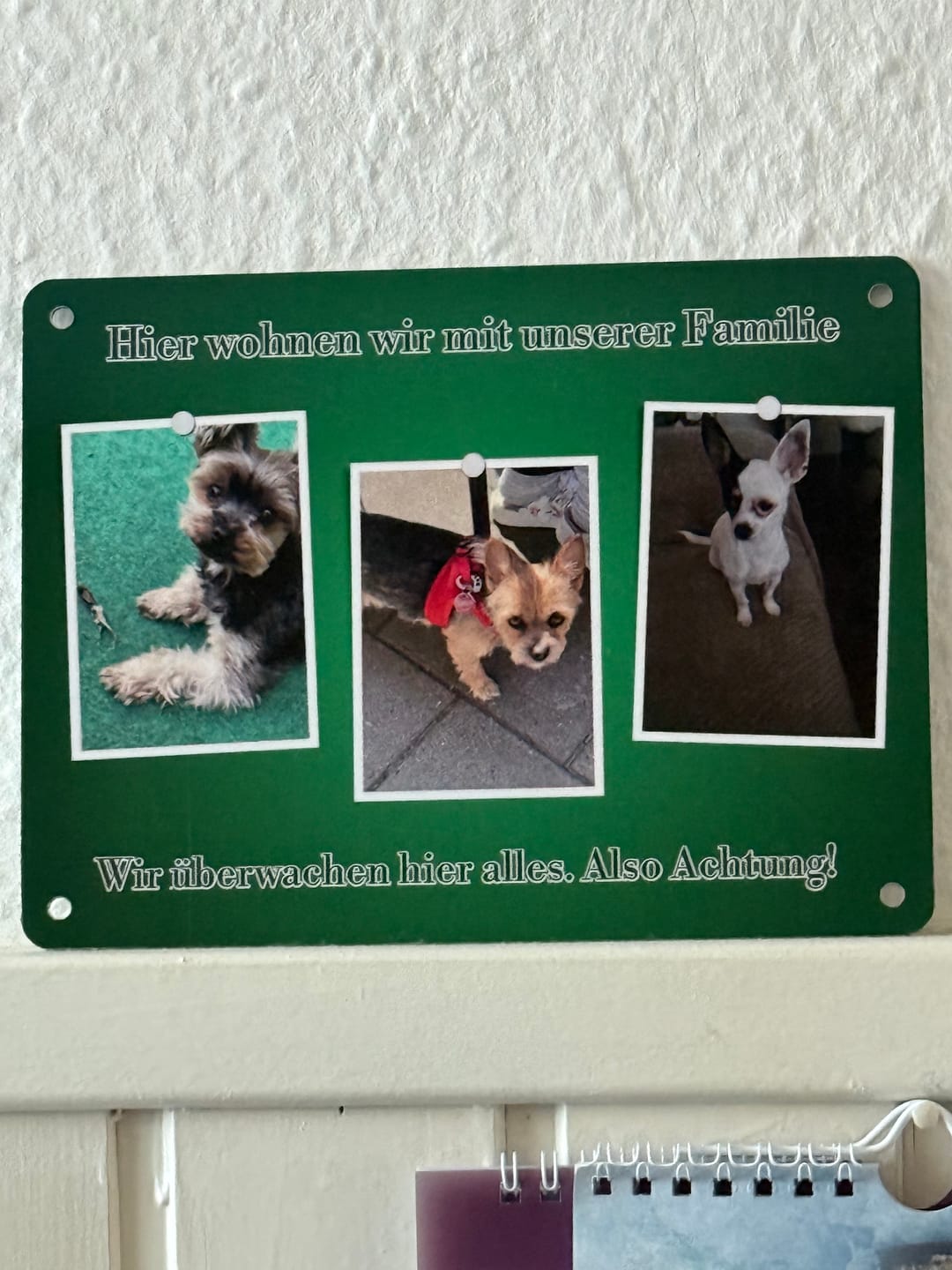 Customer photo review of Hunde-Türschild personalisiert mit Foto & Text (UV- und wetterfest)
