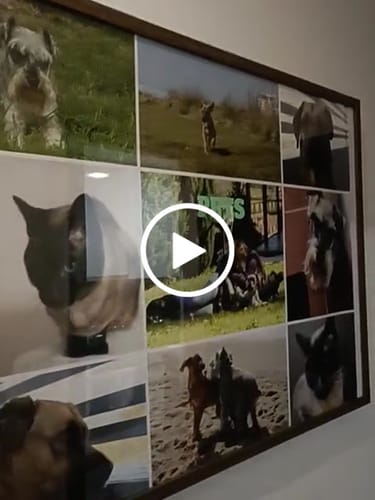 Customer video review of Imprimir Posters A1 (59,4 x 84,1 cm)